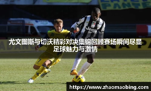 星空xingkong官网