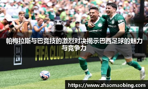 星空xingkong官网