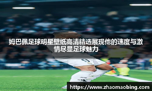 星空官方网站-星空xingkong（中国）